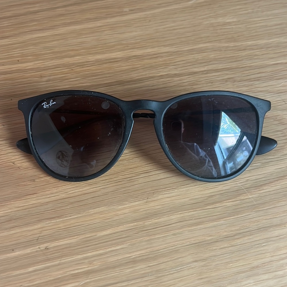 Black Circle Rayban Sunglasses